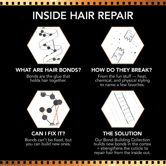 Bond-Building Reparative Wonders Hair Care Set